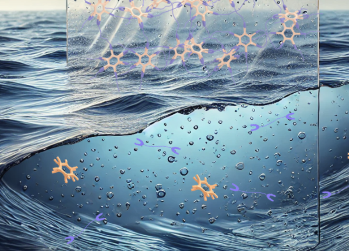 A molecular view of how cross-linked slat bridges in plastics exterior provide structure and strength. When exposed to seawater, these bridges are broken down through resalthing, which makes microplastics biodegradable.